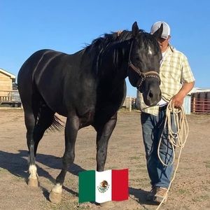 Meet your Posher, Ciro